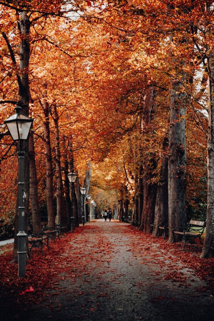 fall quotes